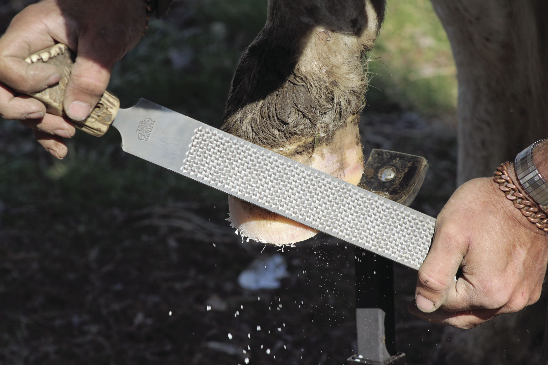 Hoof file